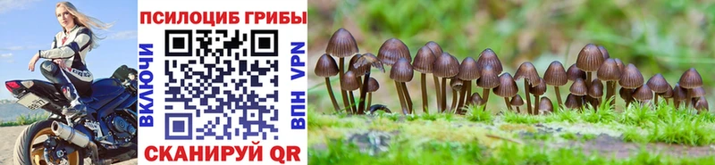 наркотики  Кингисепп  mega ONION  это официальный сайт  Псилоцибиновые грибы MAGIC MUSHROOMS 