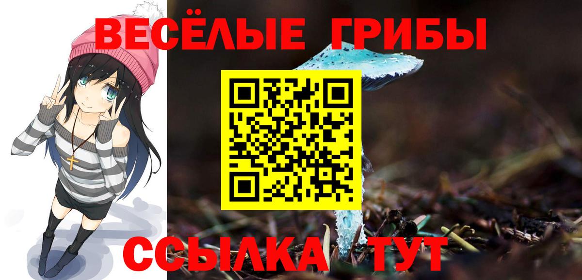 Псилоцибиновые грибы Psilocybine cubensis  купить   Галлюциногенные грибы мухоморы  Кингисепп  Вход с VPN 